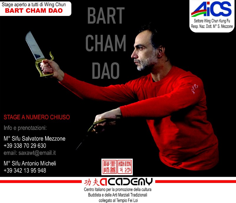 BART CHAM DAO WT DATE Fei Loi Project Kung Fu seminars Arti marziali cinesi Cina Italia wing chun Ip Man, weng chun Tang Yik, Chi Kung